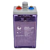 Tubular Lead Acid Battery